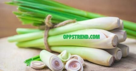 The Power of Lemongrass: Benefits, Uses, and More