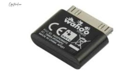 Wahoo Fisica Key: Complete Guide to Setup and Usage